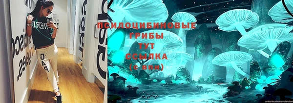 СК Арсеньев