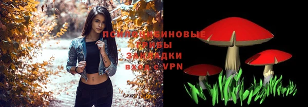 СК Арсеньев